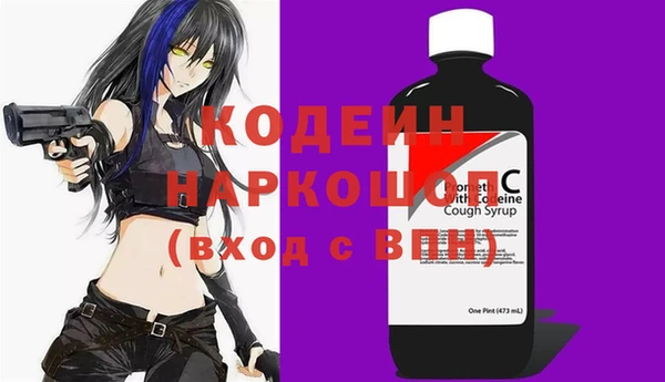 индика Алзамай