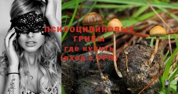 каннабис Алексин