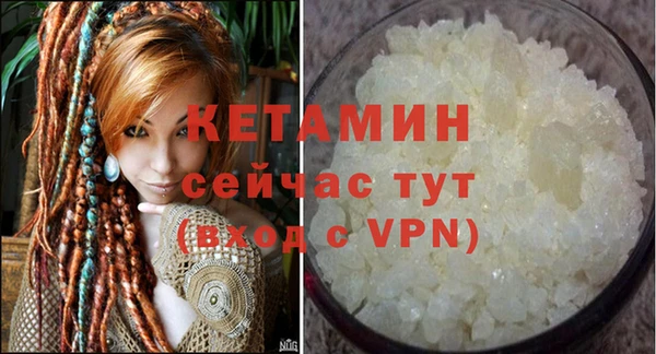 прущие грибы Лабытнанги