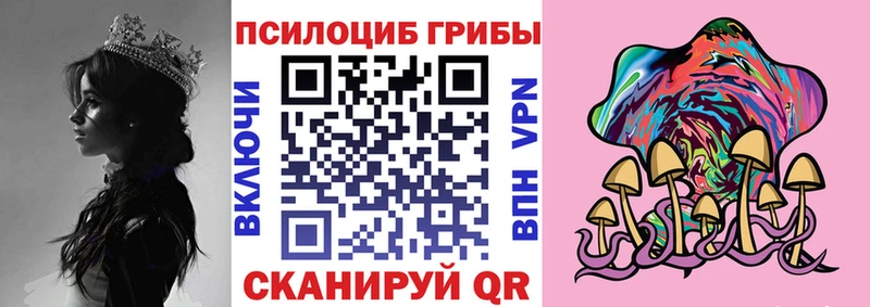 Псилоцибиновые грибы Magic Shrooms  где найти наркотики  Талдом 